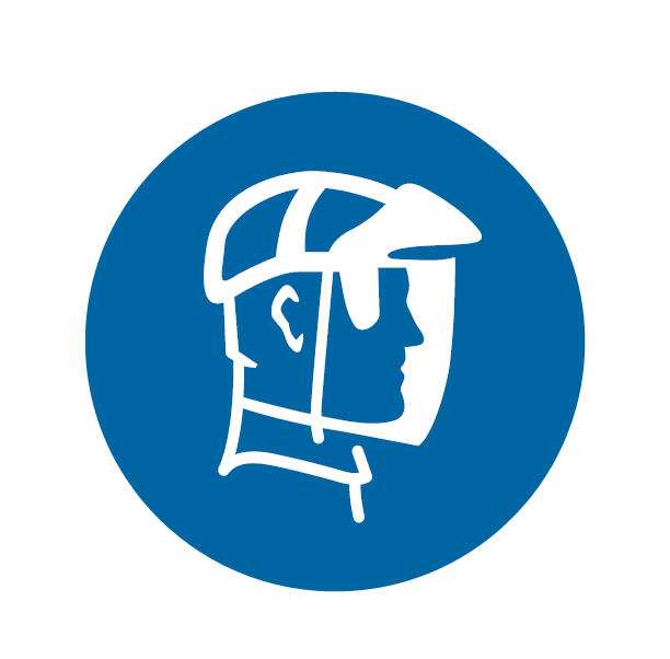 FACE SHIELD MANDATORY DISC