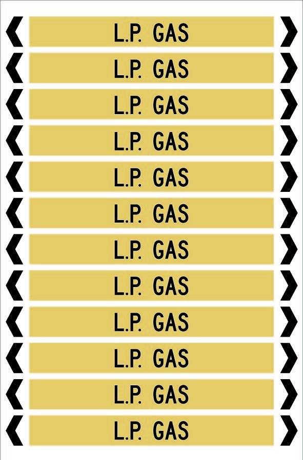 L.P. GAS 12 X 100 - PACK OF 5