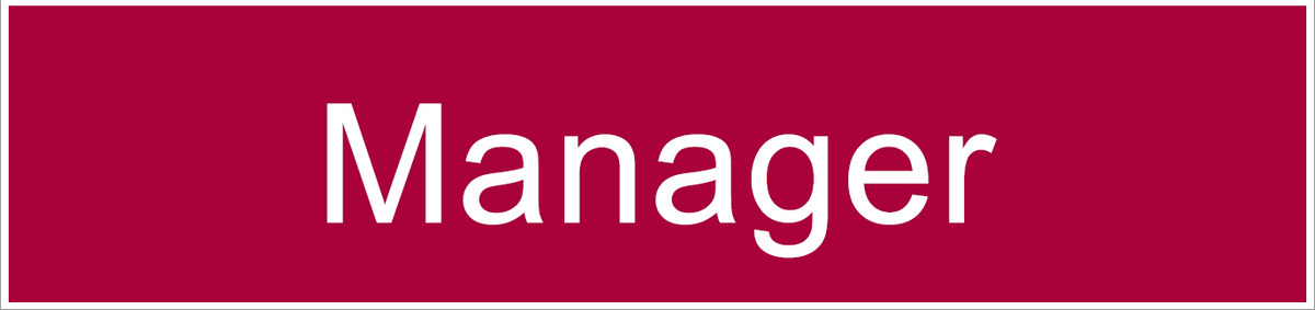 ENGRAVED MANAGER 200 X 48