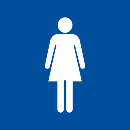 ENGRAVED FEMALE PICTO RESTROOM 150 X 150