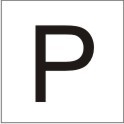 ENGRAVED LETTER "P" 90 X 90