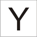 ENGRAVED LETTER "Y" 90 X 90