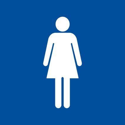 REVERSE ENGRAVED PAINT-FILLED FEMALE PICTO RESTROOM 150 X 150