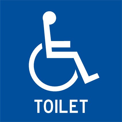REVERSE ENGRAVED PAINT-FILLED DISABLED TOILET WITH PICTO RESTROOM 150 X 150