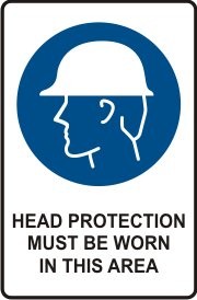 HEAD PROTECTION MUST BE WORN IN THIS AREA WITH PICTO