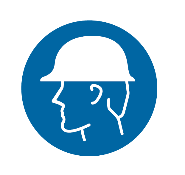 HEAD PROTECTION MANDATORY DISC