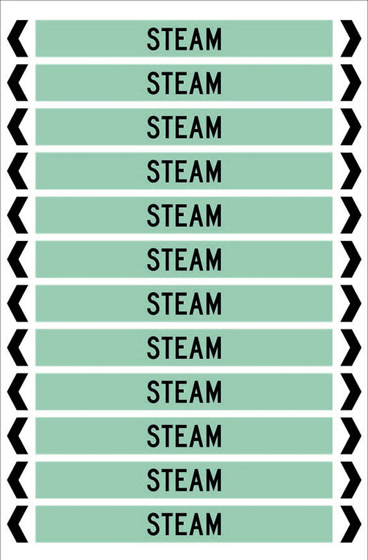 STEAM 12 X 100 - PACK OF 5