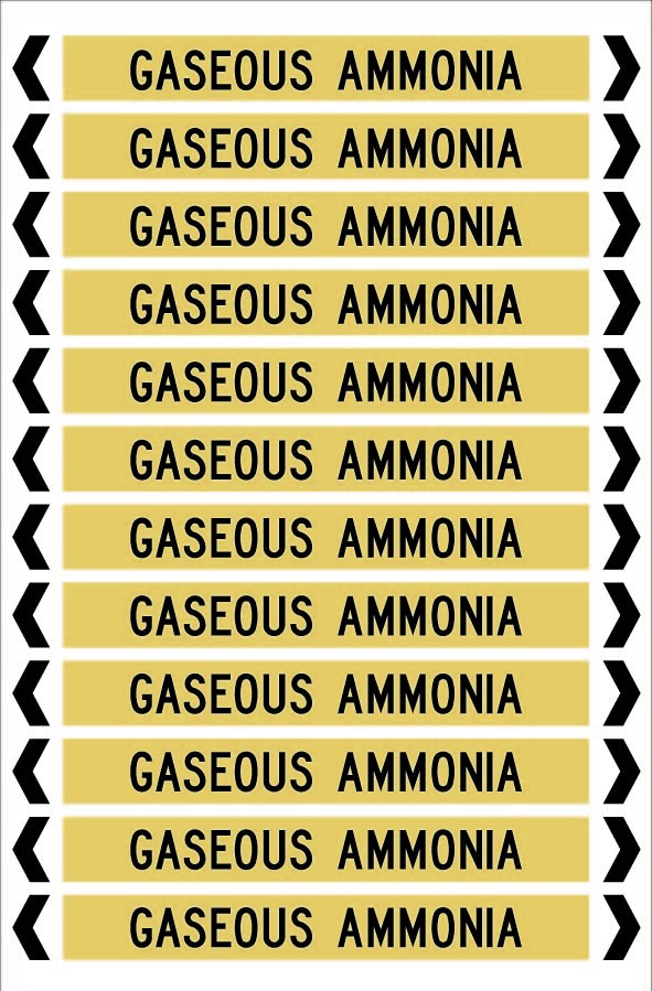GASEOUS AMMONIA 12 X 100 - PACK OF 5