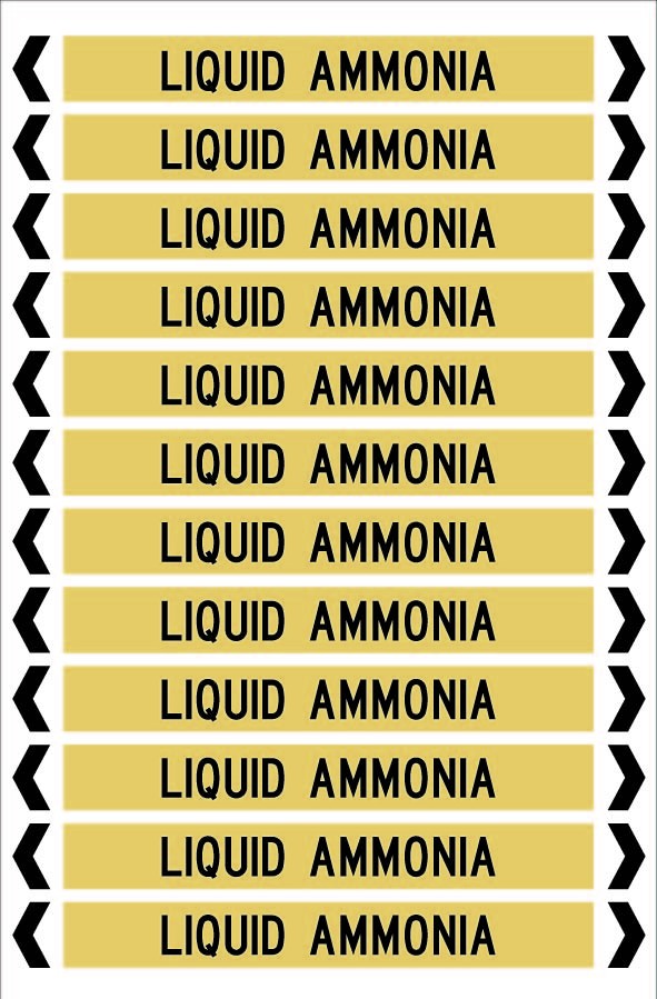 LIQUID AMMONIA 12 X 100 - PACK OF 5
