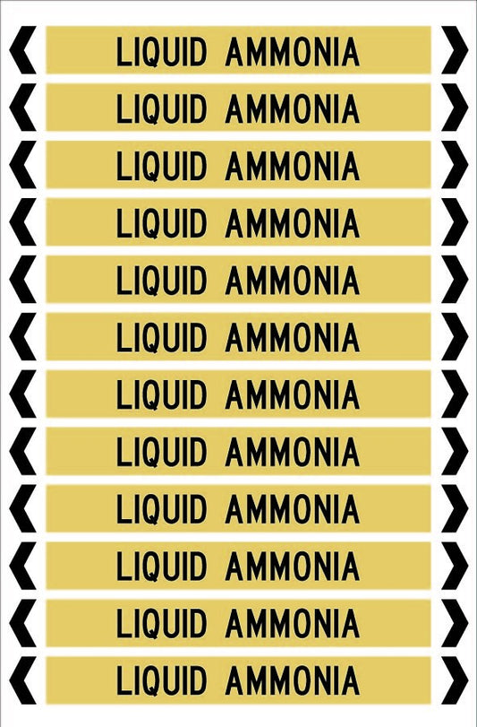 LIQUID AMMONIA 12 X 100 - PACK OF 5