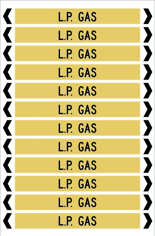 L.P. GAS 12 X 100 - PACK OF 5
