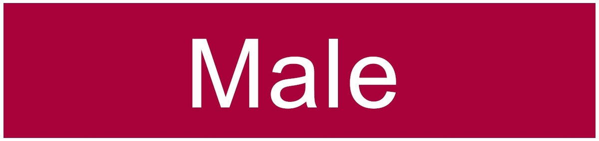ENGRAVED MALE RESTROOM 200 X 48
